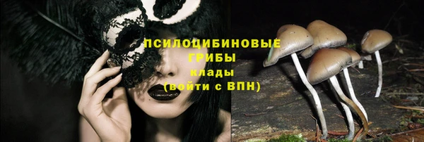 амфетамин Богданович