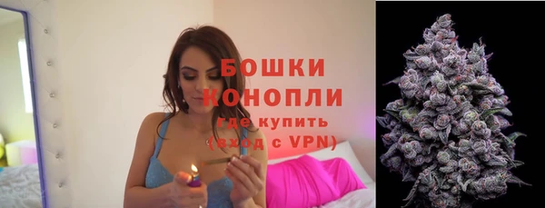 apvp Богородицк