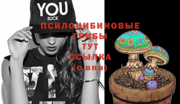 apvp Богородицк